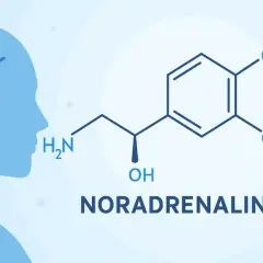 Niedobór noradrenaliny objawy: Jak je rozpoznać i co oznaczają?