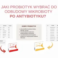 Wybór probiotyku SANPROBI po antybiotyku. Tabela z gatunkami i szczepami bakterii.
