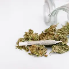 Słoik z marihuaną i skrętem. Widać kwiaty konopi, które wysypały się ze słoika. Zawartość thc jest widoczna.