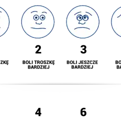 Sześć buziek na skali emocji: od uśmiechniętej po płaczącą. Pokazuje różne nastroje.