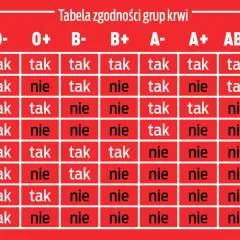 Tabela zgodności grup krwi. Pokazuje, które grupy krwi są kompatybilne przy transfuzji.