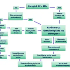 Schemat postępowania przy migotaniu przedsionków (AF) < 48h. Decyzje oparte na antykoagulacji, TEE, kardioersji i ocenie ryzyka CHADS2-VASc, uwzględniając polfenon.