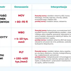 Tabela z parametrami mch: objętość krwinek czerwonych (MCV), leukocyty (WBC) i płytki krwi (PLT) wraz z ich normami i interpretacją.