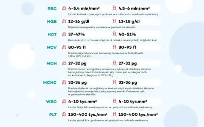 Tabela z normami badań krwi: RBC, HGB (hemoglobina norma), HCT, MCV, MCH, MCHC, WBC, PLT.