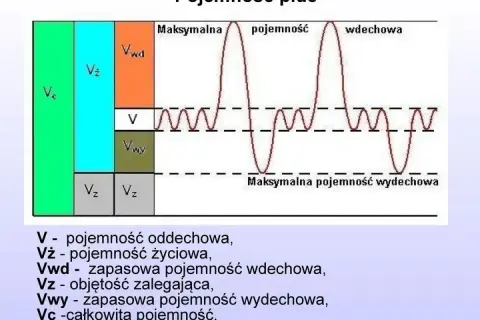 Schemat przedstawia pojemność płuc, ilustrując różne objętości oddechowe. Badanie spirometria pozwala ocenić te parametry.