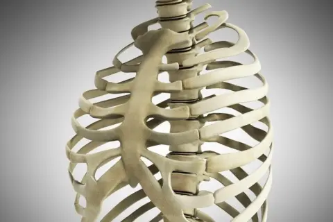 Anatomia klatki piersiowej z widocznym wyrostkiem mieczykowatym.