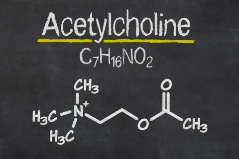Struktura chemiczna acetylocholiny, kluczowego neuroprzekaźnika, narysowana kredą na tablicy.