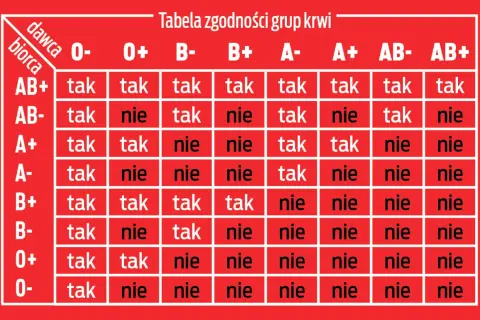 Tabela zgodności grup krwi. Pokazuje, które grupy krwi są kompatybilne przy transfuzji.