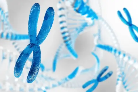 Niebieskie chromosomy i spiralne DNA. Człowiek ma 46 chromosomów, które zawierają jego kod genetyczny.