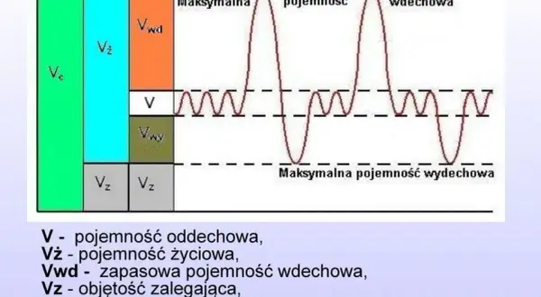 Schemat przedstawia pojemność płuc, ilustrując różne objętości oddechowe. Badanie spirometria pozwala ocenić te parametry.