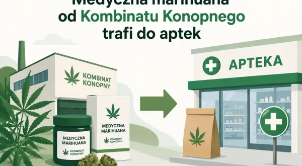 Medyczna marihuana z Kombinatu Konopnego trafia do apteki. Widać tam słoik, pudełko i kwiaty marihuany.