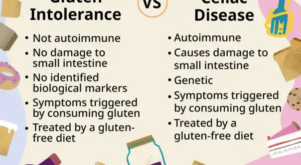 Porównanie nietolerancji glutenu i celiakii. Celiakia to choroba autoimmunologiczna, która może powodować uszkodzenie jelit, podczas gdy nietolerancja glutenu nie jest autoimmunologiczna.