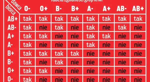 Tabela zgodności grup krwi. Pokazuje, które grupy krwi są kompatybilne przy transfuzji.