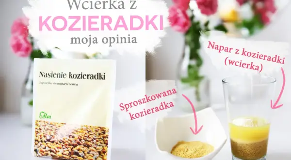 Nasiona kozieradki, sproszkowana kozieradka i napar – poznaj kozieradka właściwości i jak przygotować wcierkę.
