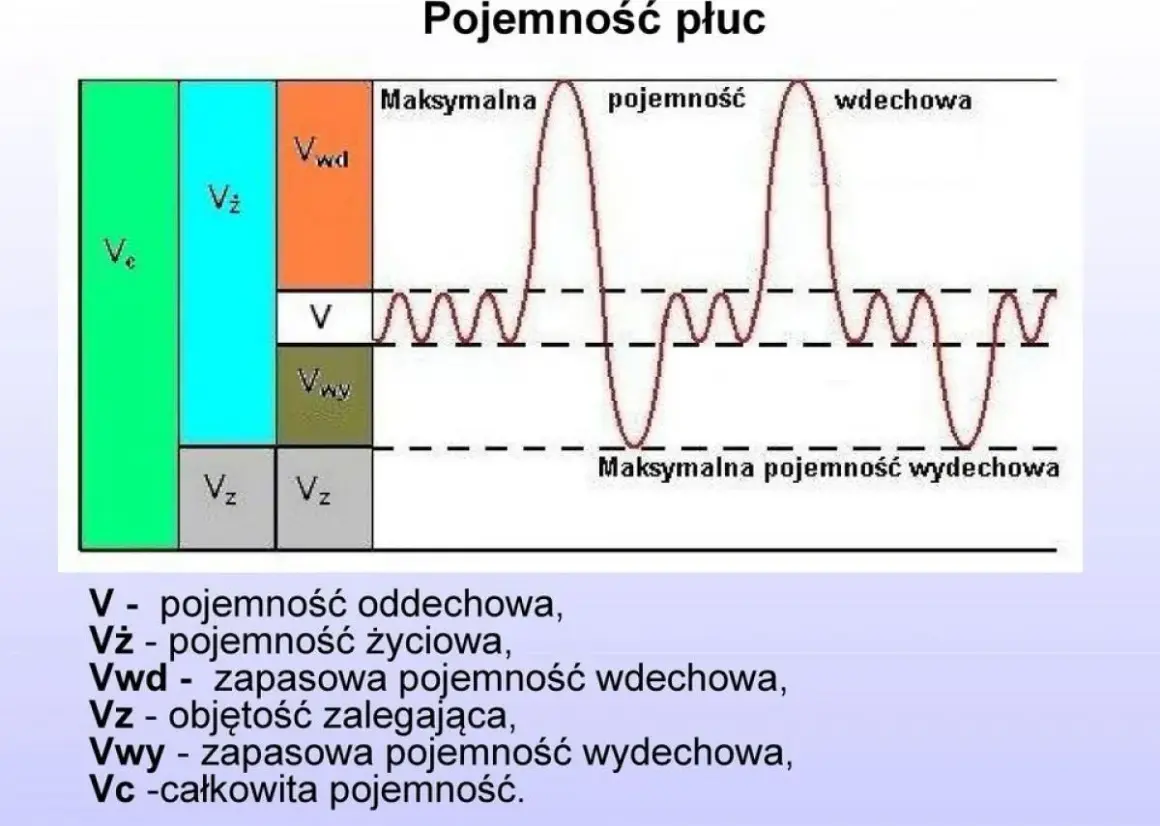 Schemat przedstawia pojemność płuc, ilustrując różne objętości oddechowe. Badanie spirometria pozwala ocenić te parametry.
