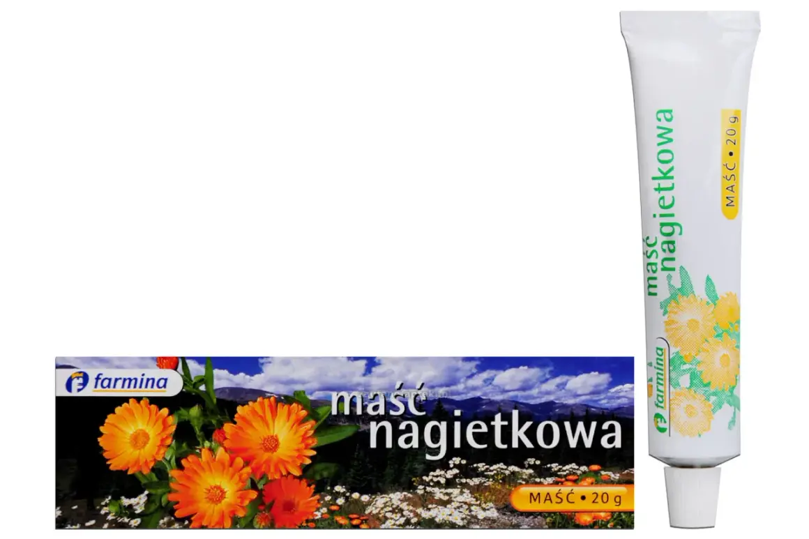 Maść nagietkowa na co? Na podrażnienia i regenerację skóry. Tubka i opakowanie z nagietkami.