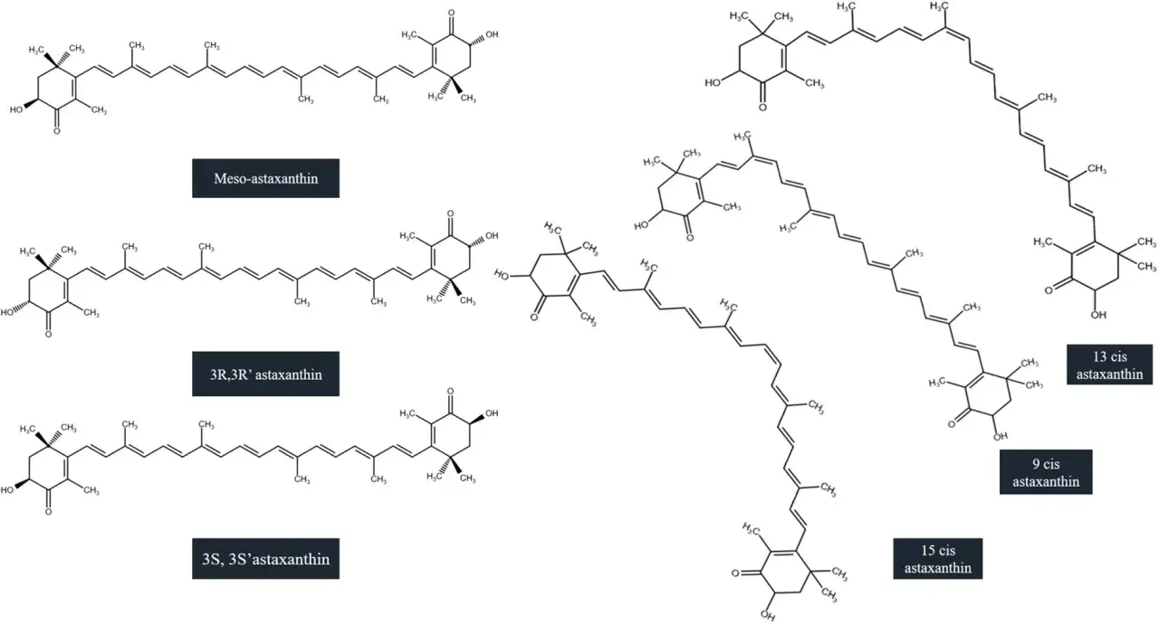 Struktury chemiczne różnych izomerów astaksantyny: mezo-, 3R,3R'-, 3S,3S'-, 9-cis-, 13-cis- i 15-cis-astaksantyny.