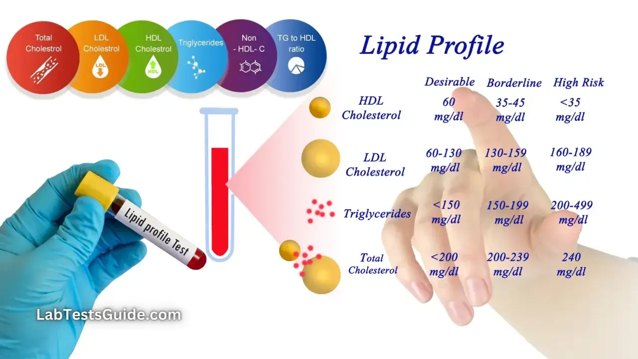 Profil lipidowy: HDL, LDL, trójglicerydy i cholesterol całkowity. Wartości pożądane, graniczne i wysokie ryzyko. Nie-HDL-C to ważny wskaźnik.