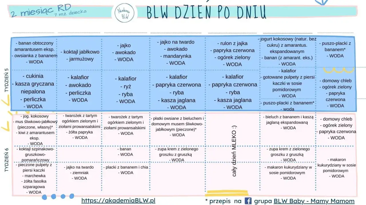 Tabela z propozycjami posiłków na rozszerzanie diety niemowlaka metodą BLW.