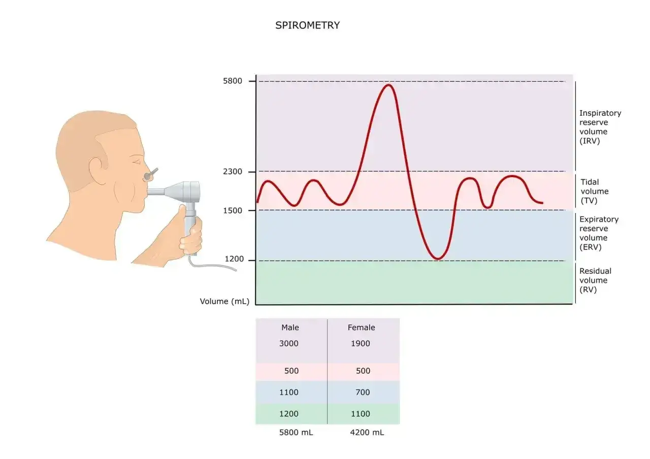 Badanie spirometria: wykres objętości płuc i dane porównawcze mężczyzn i kobiet.
