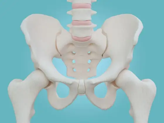 Miednica mniejsza - anatomia, funkcje, objawy. Sprawdź, jak dbać!