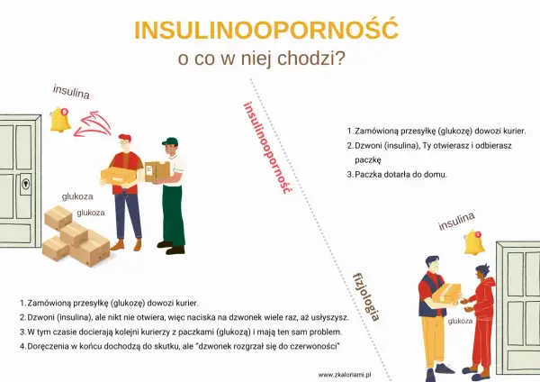 Ilustracja wyjaśnia insulinooporność: kurierzy dostarczają glukozę, ale insulina nie reaguje, co utrudnia jej odbiór. Badania insulinooporności pomagają zrozumieć ten proces.