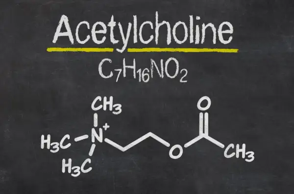 Struktura chemiczna acetylocholiny, kluczowego neuroprzekaźnika, narysowana kredą na tablicy.