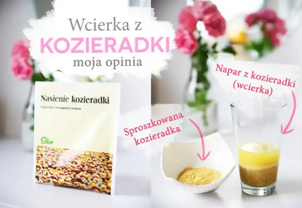Nasiona kozieradki, sproszkowana kozieradka i napar – poznaj kozieradka właściwości i jak przygotować wcierkę.