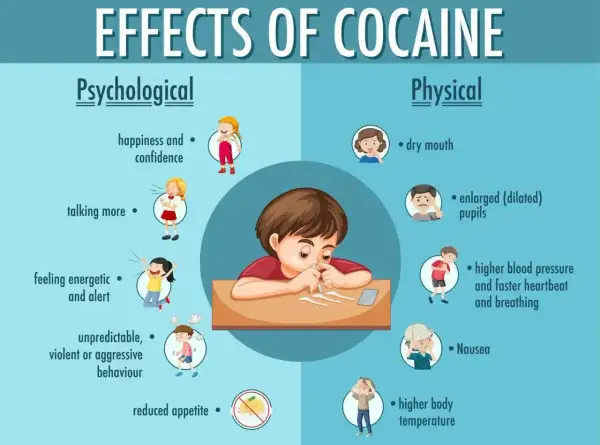Ilustracja pokazuje skutki psychologiczne i fizyczne kokainy, w tym zmiany nastroju, zachowania, suchość w ustach, przyspieszone bicie serca i nudności.